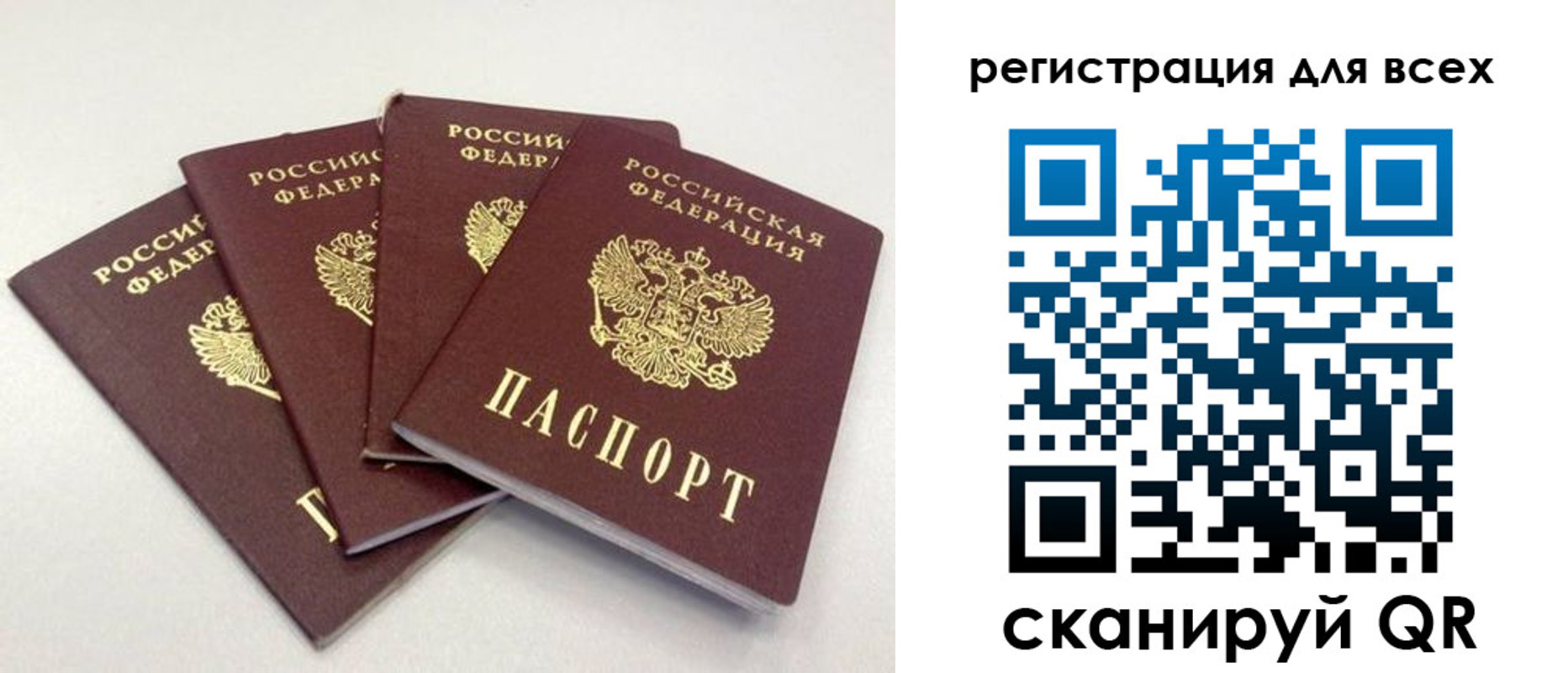 прописка законно в Ермолино