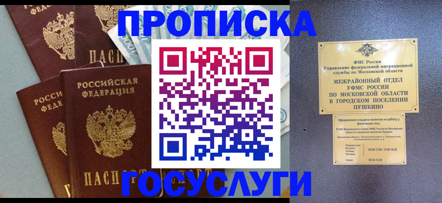 прописка гарантия в Ермолино
